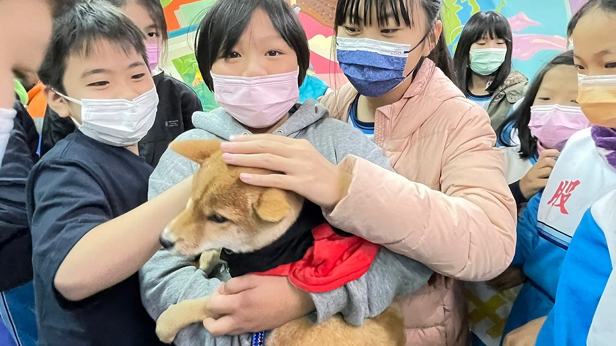大家都來和新加入的校園犬打招呼。 圖：新北市動保處提供