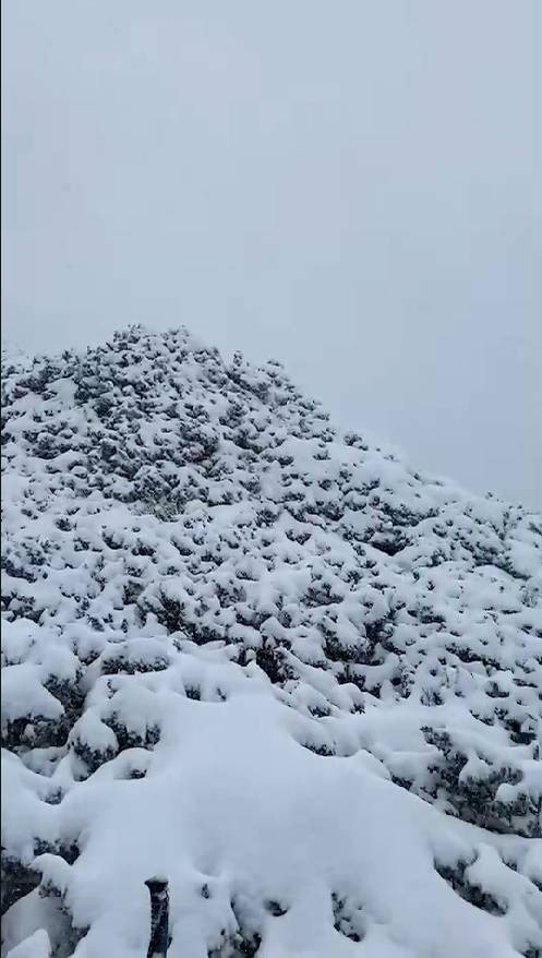 雪山積雪已達90公分。 圖：雪霸國家公園管理處／提供