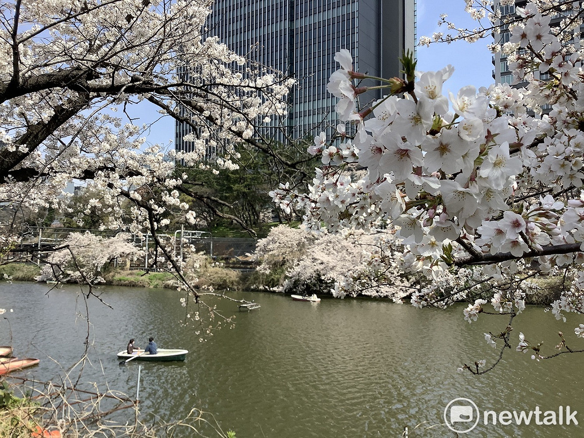 今年台灣人要來無望來日本櫻花旅，或許等賞楓。（圖為去年東京外壕景觀） 圖：劉黎兒攝