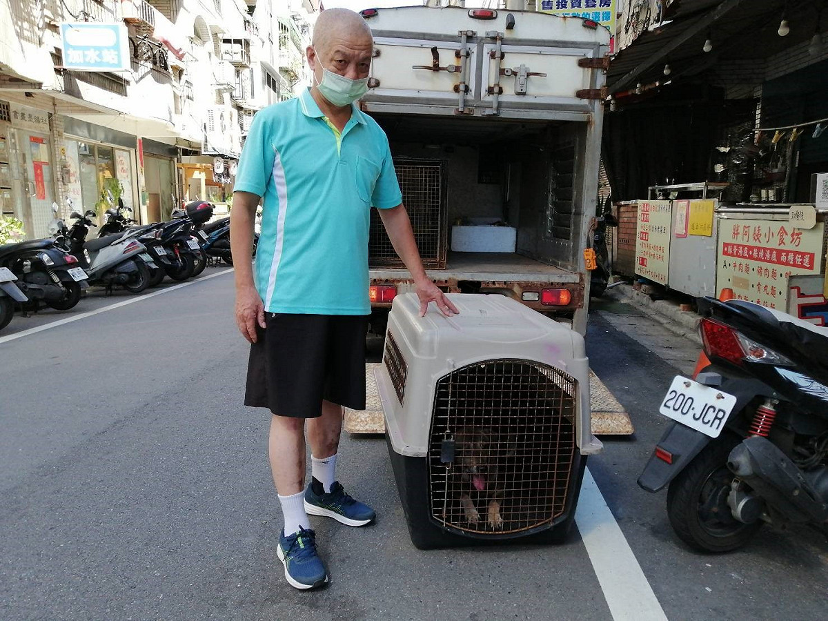 林文成主動協助淡水動物之家精準收容追車咬人的浪犬。 圖：新北市動保處提供