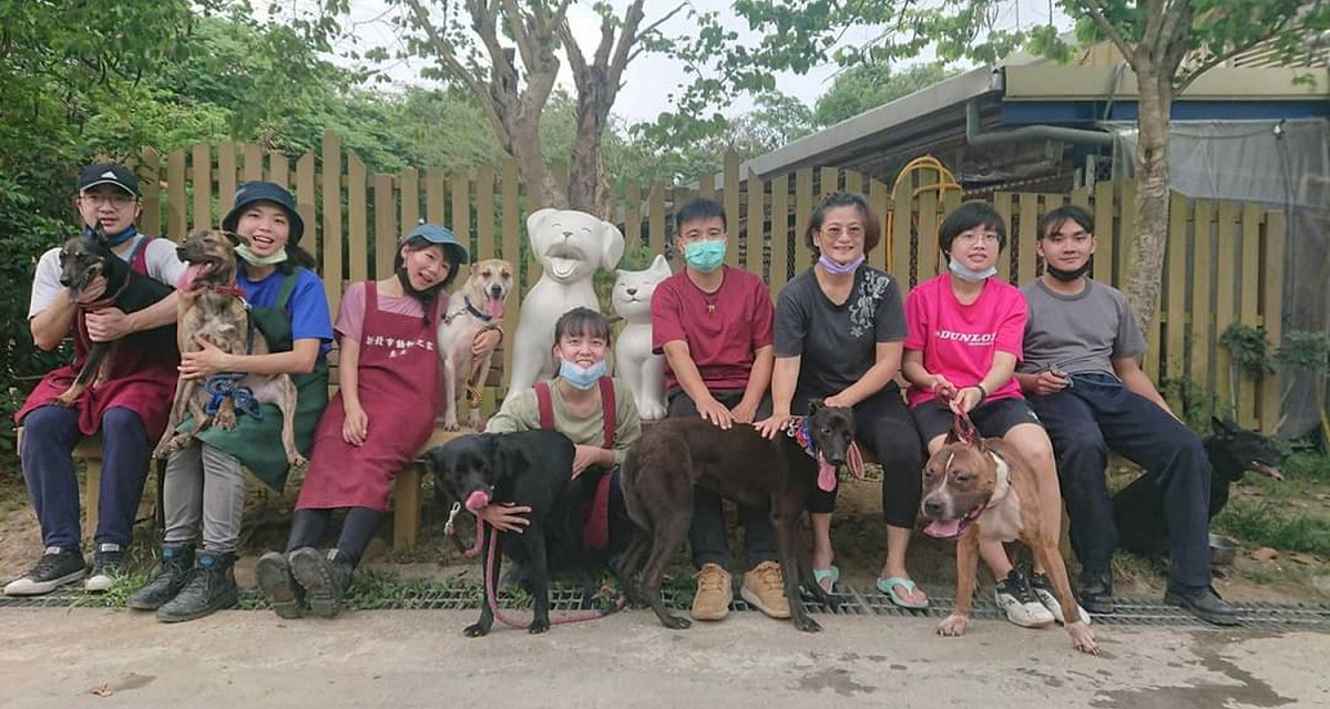 新北市動物之家會於民眾認養比特犬前，請訓犬師、動保團體與認養人三方會談評估。 圖：新北市動保處提供