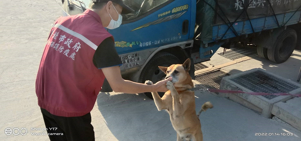 邱志輝與夏綠地的犬隻互動。 圖：新北市動保處提供