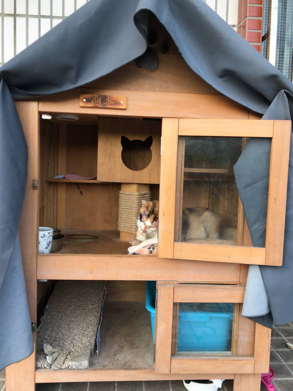 飼主為貓阿嬤打造專屬貓屋。  圖：新北市動保處提供