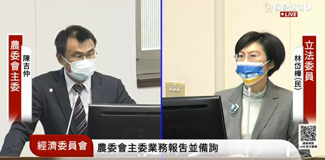 陳吉仲強調，3月中旬就能解決缺蛋問題。 圖:國會頻道