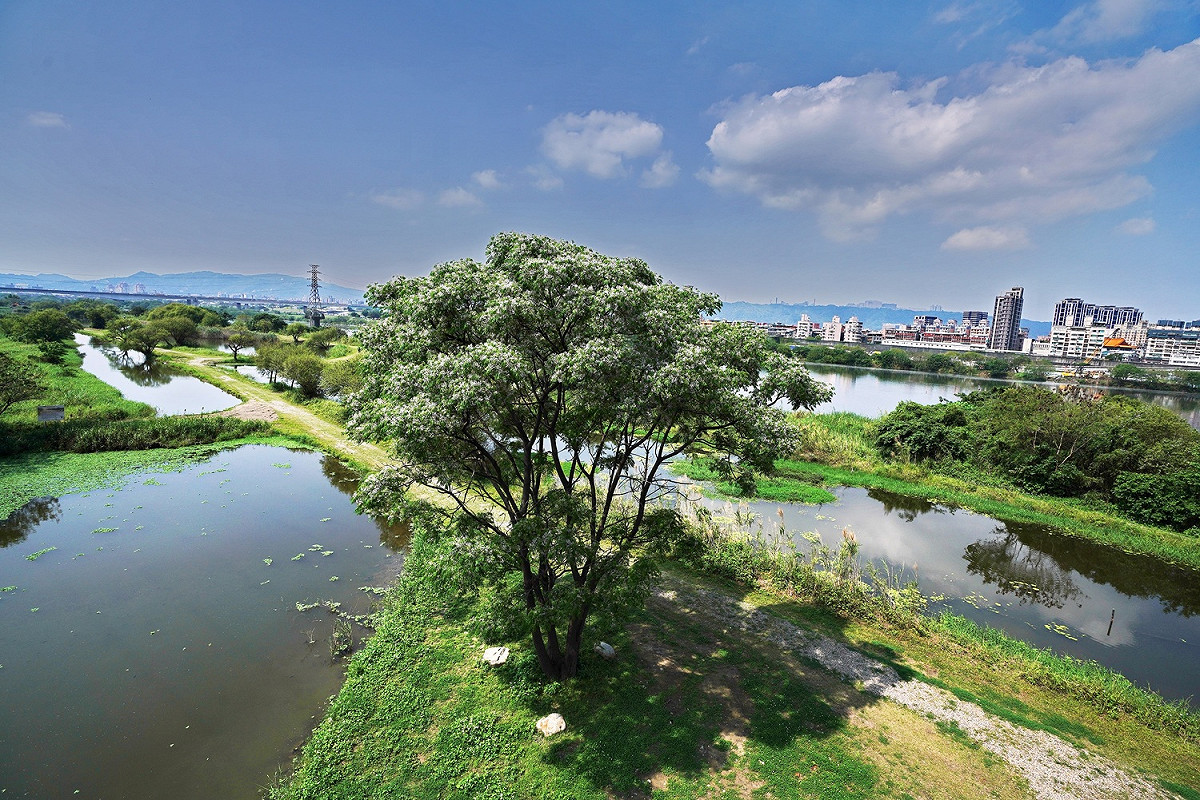 濕地也是陸地、水域生態系間的過渡帶，是水、陸交接處許多生物族群棲息地。 圖：新北市水利局/提供