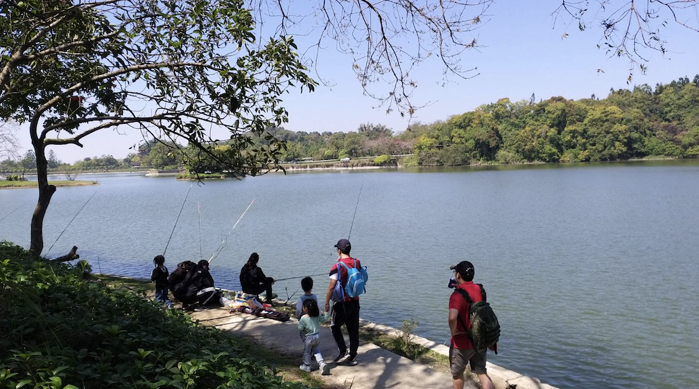 虎頭埤內釣魚風氣興盛。 圖：台南市政府觀光旅遊局/提供