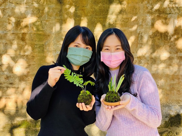 淡古響應國際森林日在滬尾礮台推出體驗課程，民眾可把古蹟常見的植物變成苔球帶回家。. 圖：淡水古蹟博物館提供