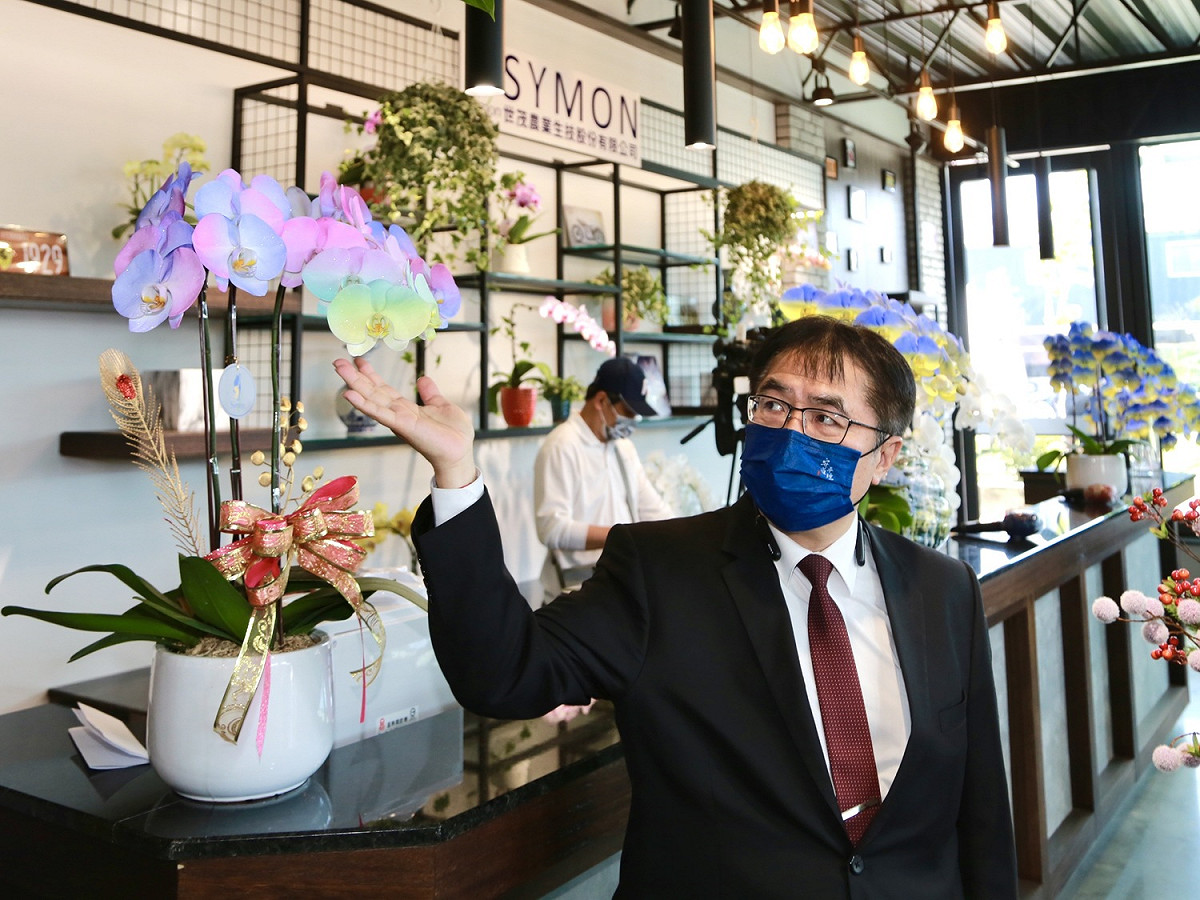 世茂農業生技股份有限公司為聲援烏克蘭，以奈米技術，將白色蝴蝶蘭噴印上烏克蘭國旗上藍下黃的顏色，表達台灣支持烏克蘭捍衛家園和自由民主的決心，而這批象徵烏克蘭國旗的蝴蝶蘭，之後也將於台南國際蘭展上義賣。 圖：台南市政府提供