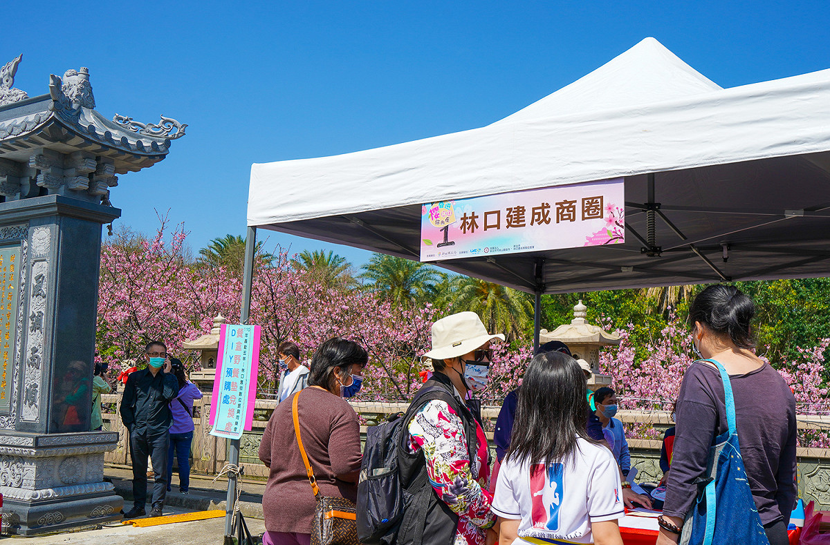 民眾現場不僅可以逛市集也可與櫻花留下美照紀念。 圖：林口區公所提供