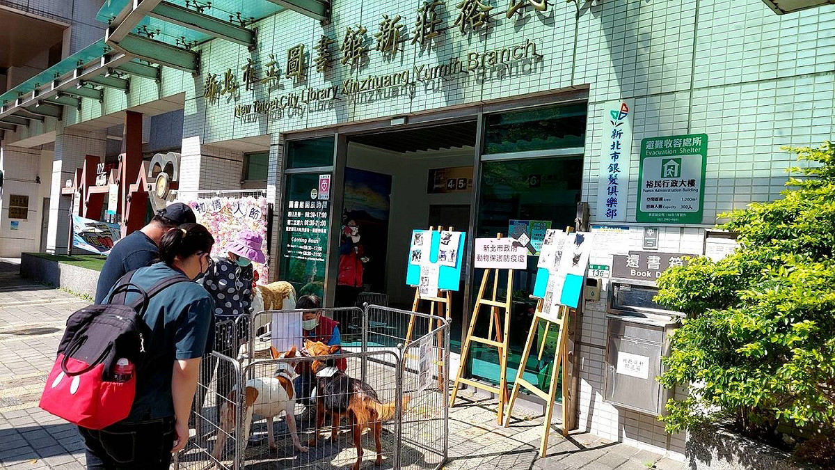 新北市政府動保處、新北市圖合作，在市圖新莊裕民分館舉辦「浪浪愛心認養」快閃認養活動。 圖：新北市動保處提供