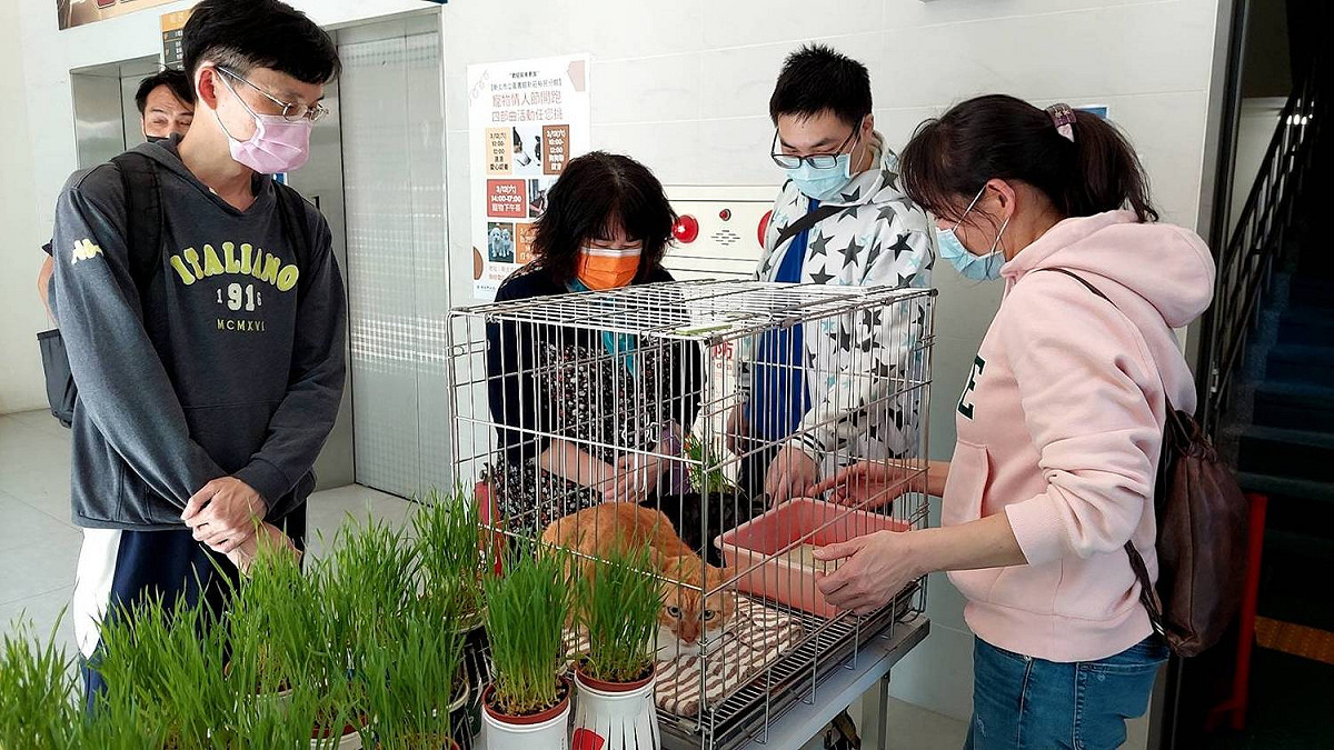 現場認養成功不只贈送寵物驚喜大禮包，在植樹節的今天還加贈大麥草盆栽。 圖：新北市動保處提供