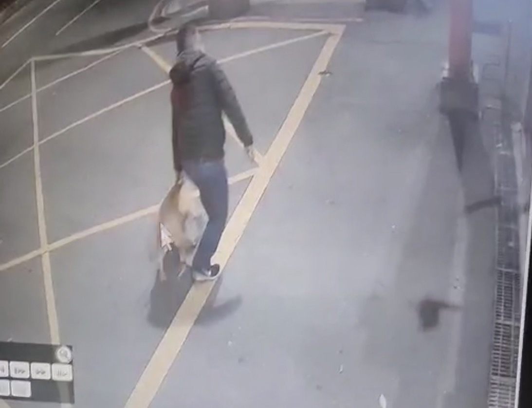 三重區新北大道遺棄的比特犬之嫌疑人。 圖：新北市動保處提供