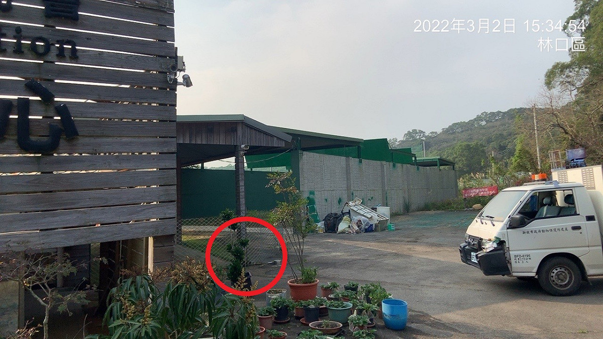 林口區射擊場民眾遺棄犬隻位置。 圖：新北市動保處提供