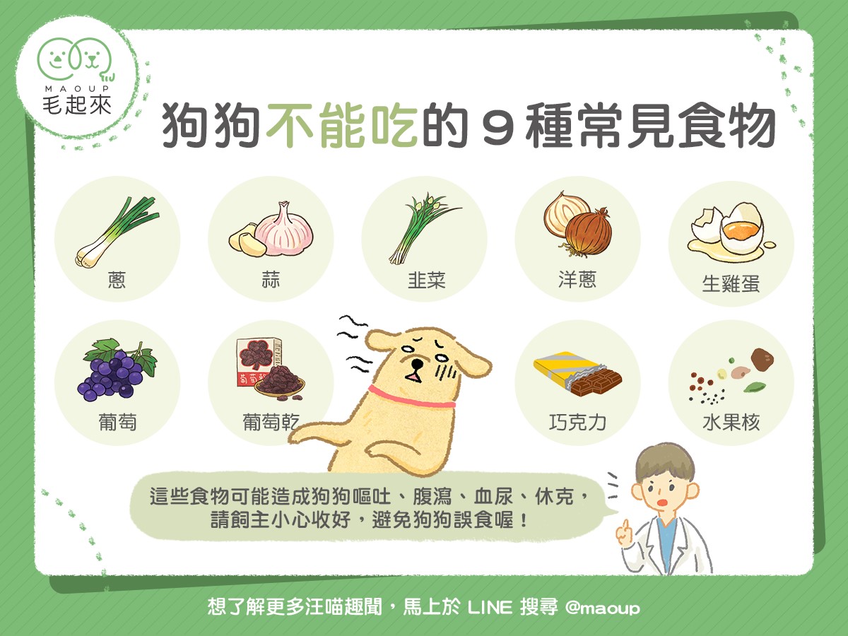 常見毛寶貝不能吃的食物。(圖片來源臉書毛起來MAOUP) 圖：新北市動保處提供