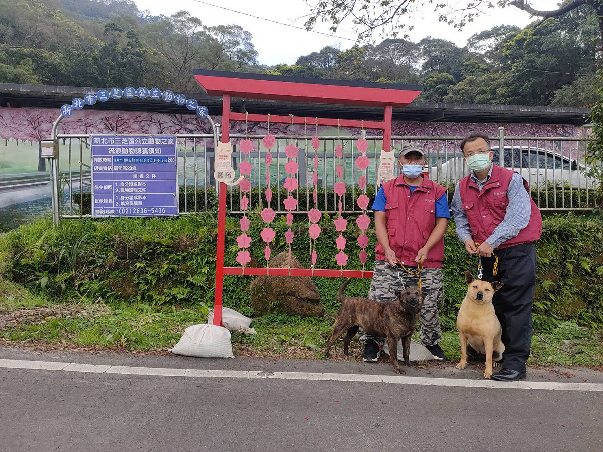 景觀處與三芝動物之家設立櫻花祈福（虎）卡裝置。 圖：新北市動保處提供