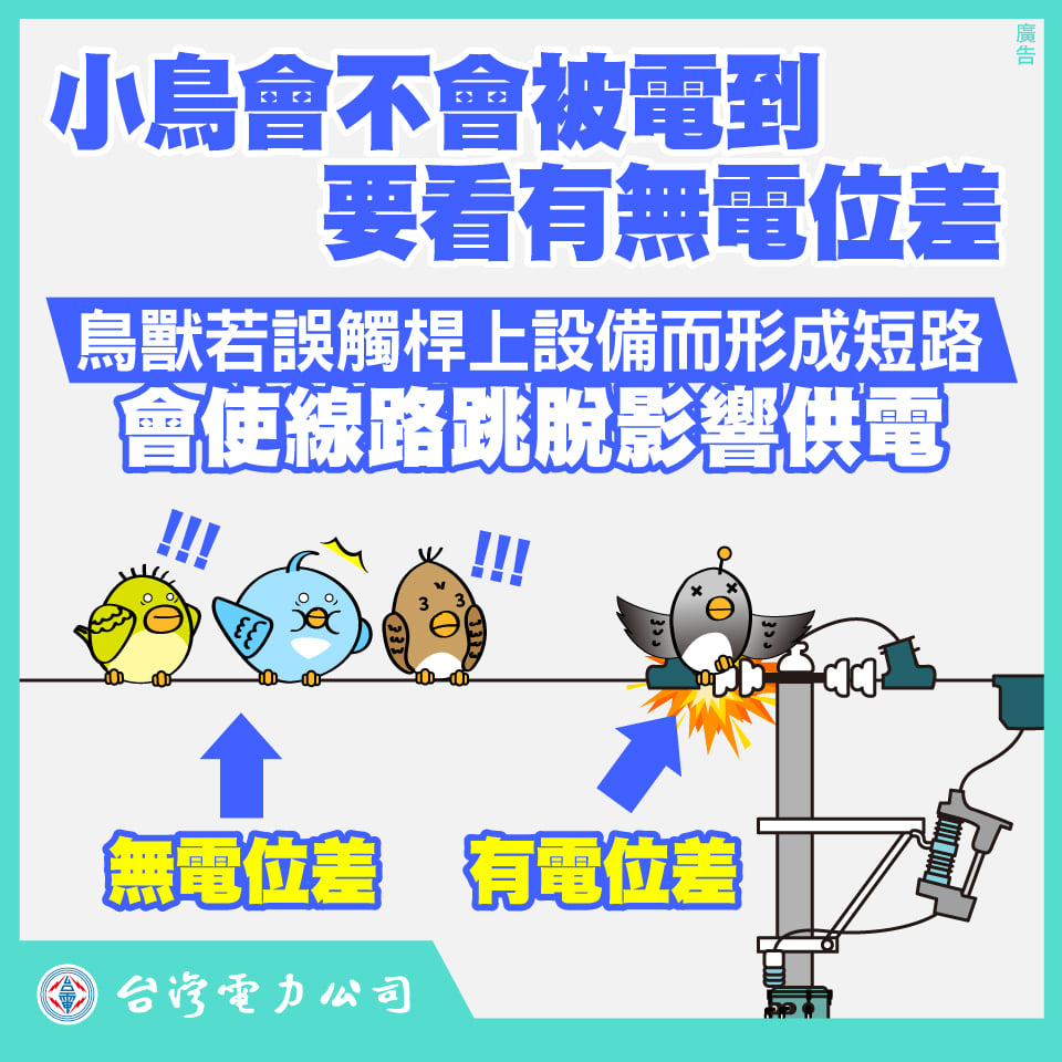 台電指出，鳥類若誤觸設備而形成短路，會使線路跳脫影響供電。 圖：擷取自臉書「台電電力粉絲團」