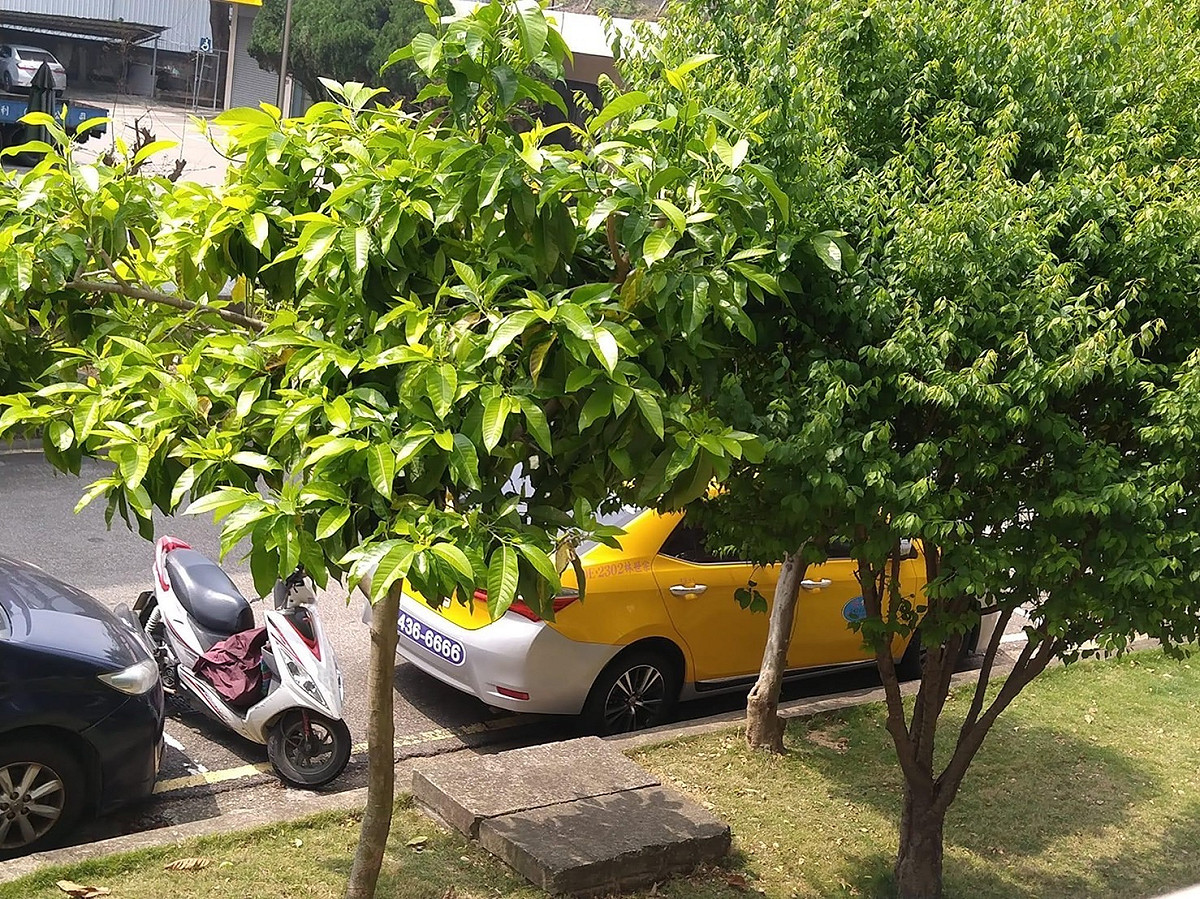 砂石業者以計程車及重機停在派出所附近，做為跟監的交通工具。 時代力量台中黨部/提供