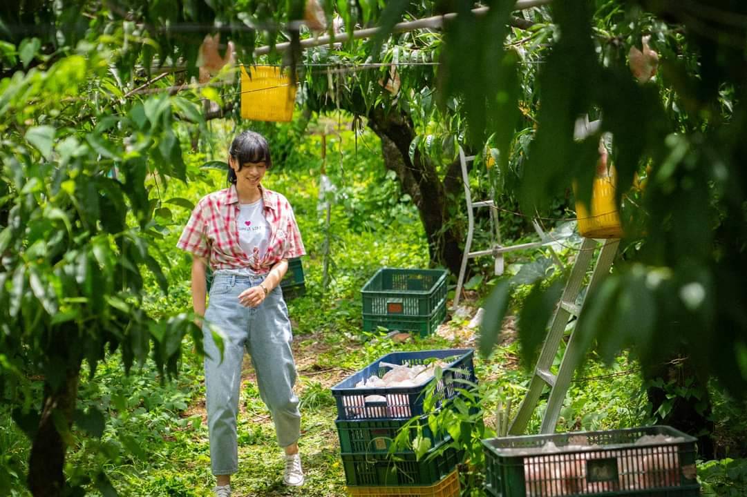 《高山上的熱氣球》拍攝場景都在梨山。 參山處/提供