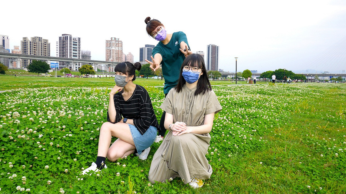 如皚皚白雪的白花三葉草撒落河濱公園。 圖：新北市水利局提供