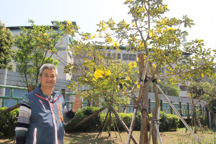 呂聰成上任後便認養空地與志工、里民進行大改造為幸福公園，近日正處於花開季節。 圖：新北市民政局提供