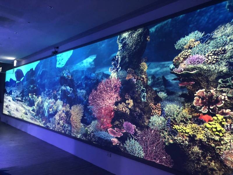 潮境智能海洋館將於3/25開幕。 圖：海科館／提供