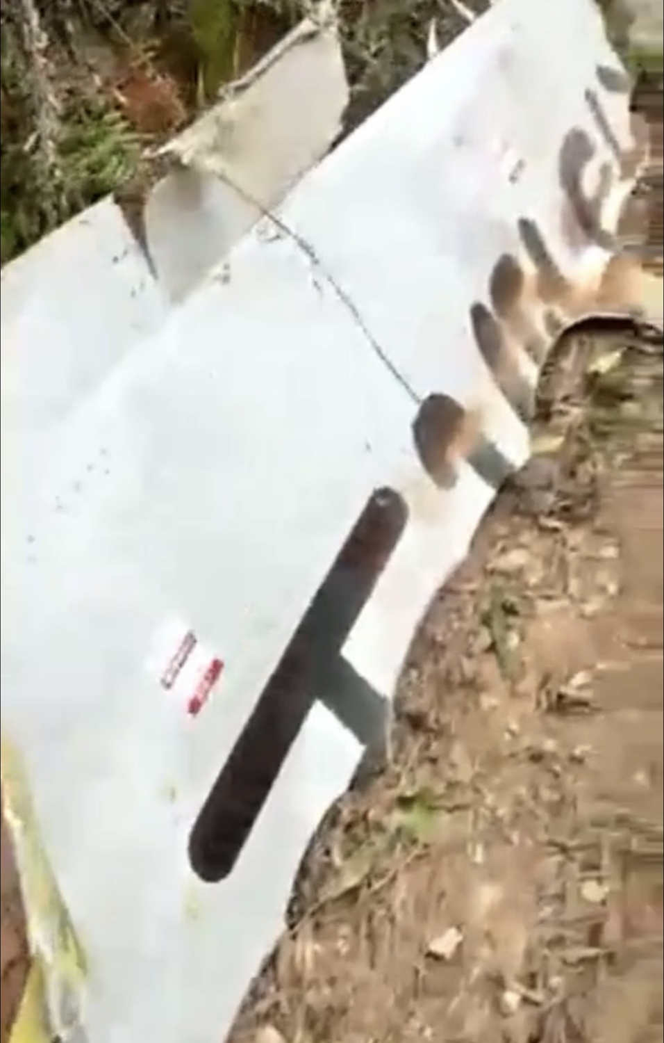 客機機體完全解體，疑似殘骸散落在地。 擷取自影片