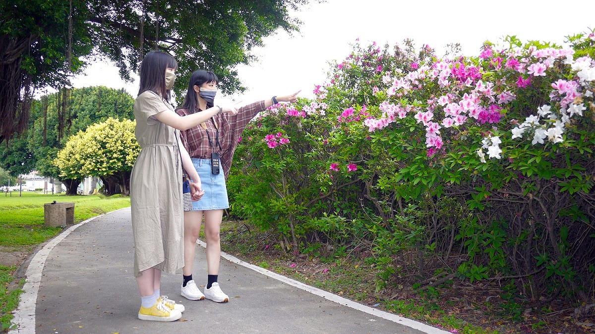 杜鵑花牆打卡美景。 圖：新北市水利局提供