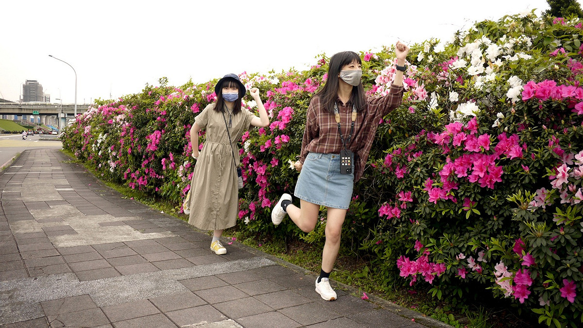 杜鵑花長得很高且花朵鮮豔，拍起來非常好看。 圖：新北市水利局提供
