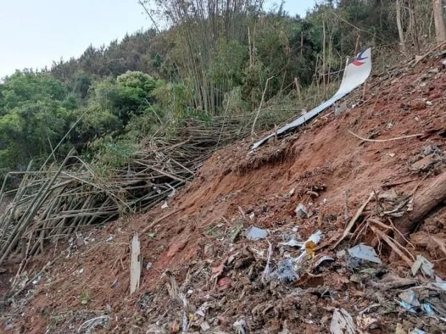 中國東方航空客機在廣西墜毀，當地村民表示：「現場都看不到完整的飛機，能看到的部分都『散掉了』。」 圖：翻攝新華社
