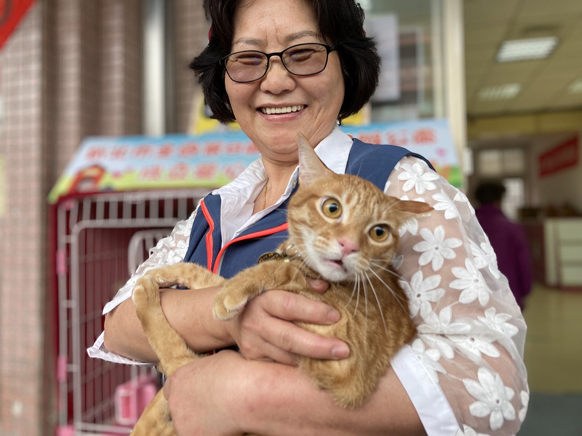 林秀真和等待被認養的貓咪合照。 圖：新北市動保處提供