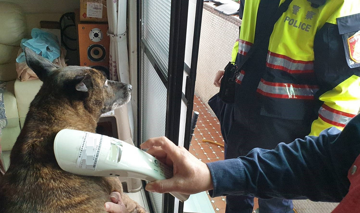 徐嫌家中另一狗被送往親友家飼養。 圖：新北市動保處提供