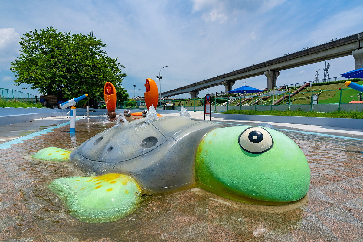 悠遊綠蠵龜。 圖：新北市水利局提供