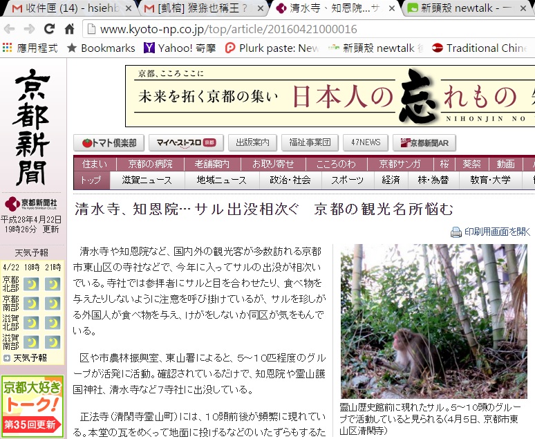 據日本《京都新聞》22日引述振興市區農林室以及東山署的資料，有5~10隻左右的猴群相當活躍地在這一帶活動。 圖：翻攝京都新聞