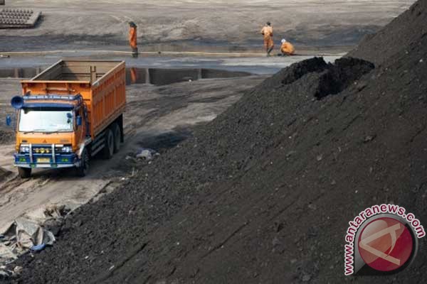 一份最新研究指出，在印尼每年有高達6500人因煤礦汙染而產生疾病死亡。 圖：GWO提供