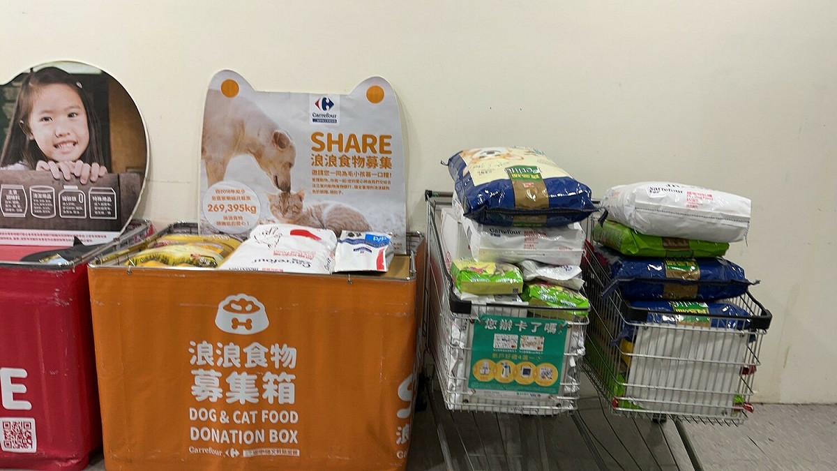 板橋動物之家的毛寶貝「大頭」迫不及待享用家樂福民眾愛心捐贈飼料。 圖：新北市動保處提供
