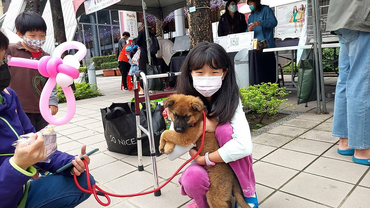 小朋友與毛寶貝互動後，認養回家成為小夥伴！ 圖：新北市動保處提供