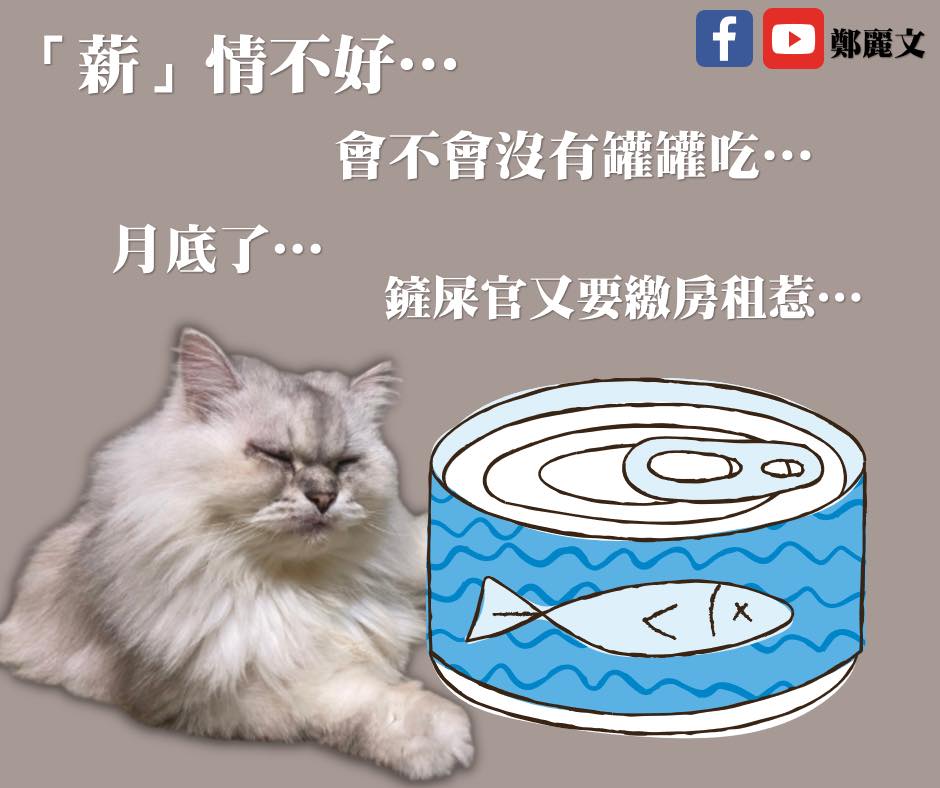 國民黨立委鄭麗文今（28日）於臉書發文，大嘆物價飛漲，北漂和租屋青年都在叫苦，直呼「薪情不好！面對物價飛漲、薪水卻沒有漲價的情形下，租屋族和北漂青年都在連連叫苦！」 圖：翻攝自鄭麗文臉書。