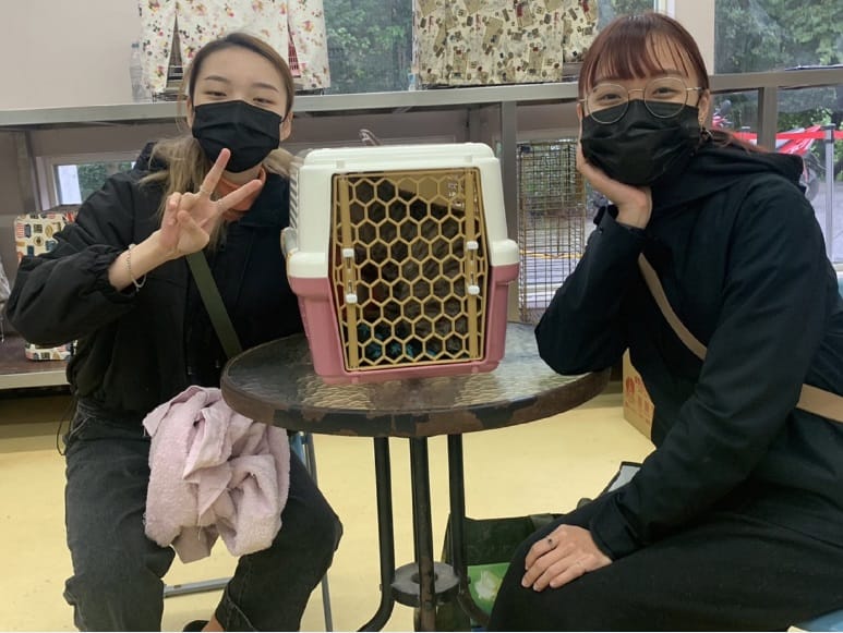 李小姐決定一起認養這2隻幼貓，讓牠們不用分開，在溫暖的家一起幸福生活。 圖：新北市動保處提供