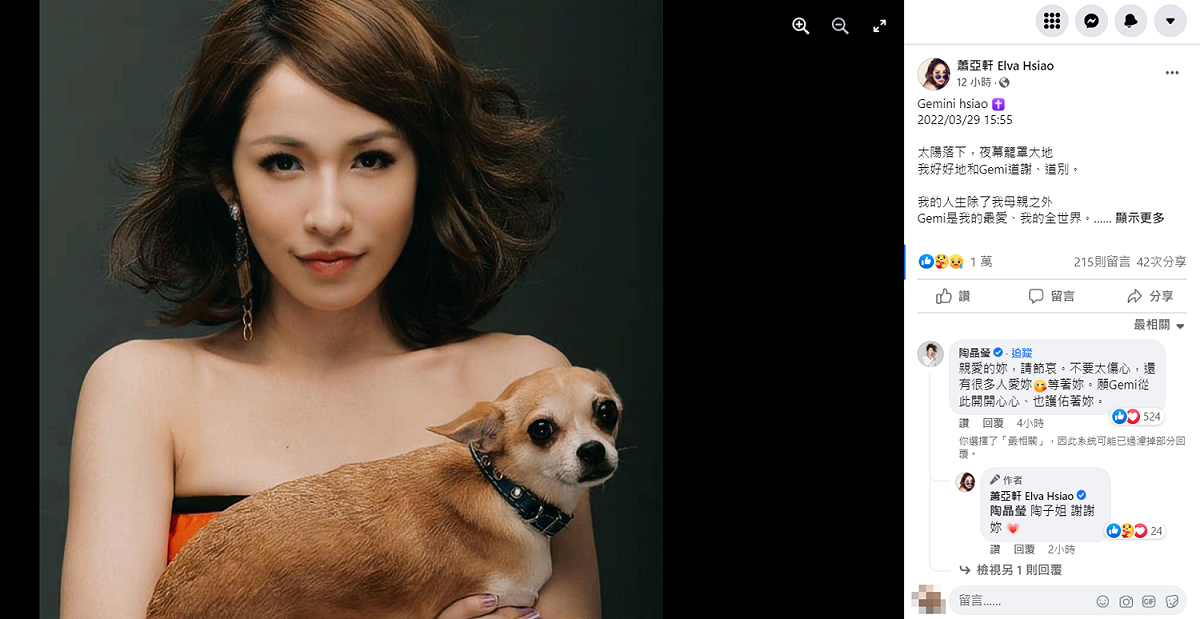 蕭亞軒貼出與Gemi的合照，坦言感到「撕心裂肺」。 圖：翻攝自蕭亞軒臉書