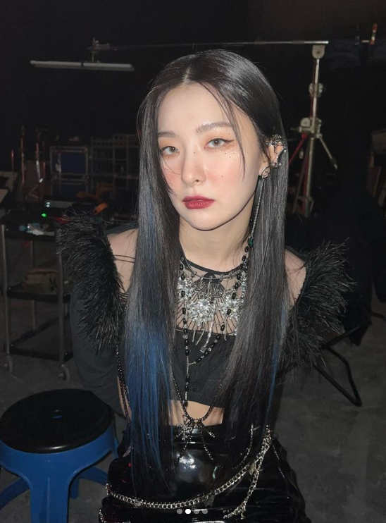 「Seulgi」瑟琪確診新冠肺炎。 圖：翻攝自IG/hi_sseulgi