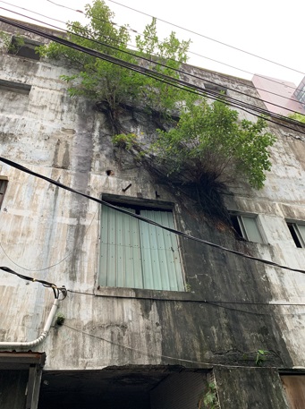 福和戲院現況。 圖：新北市都更處提供