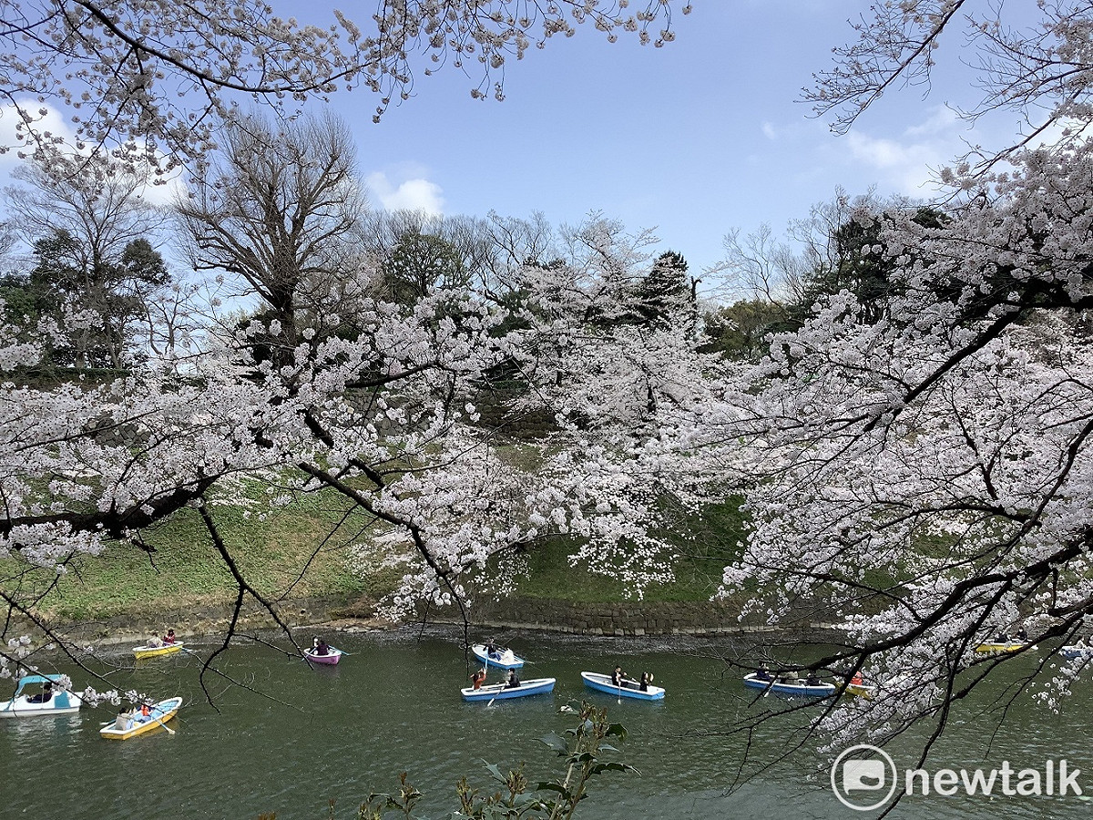 東京櫻花燃爆，確診也加倍復燃，圖為東京外濠30日的景觀。 圖：劉黎兒攝