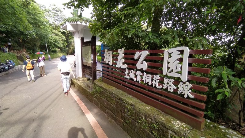 新北市土城區公所於4/16-4/24分六梯次在桐花公園舉辦桐花小旅行。 圖：翻攝自新北市土城區公所臉書