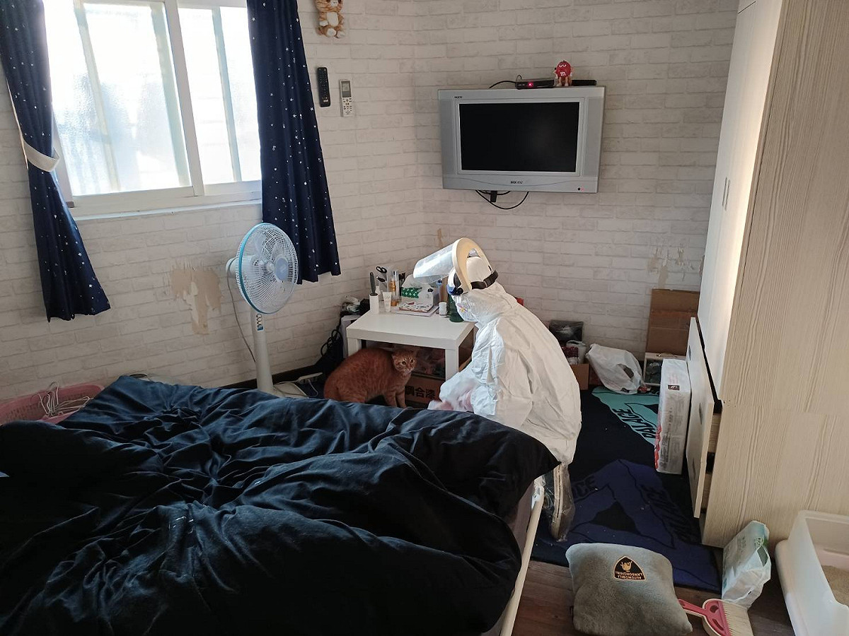 阿毛對陌生人心存畏懼。 圖：新北市動保處提供