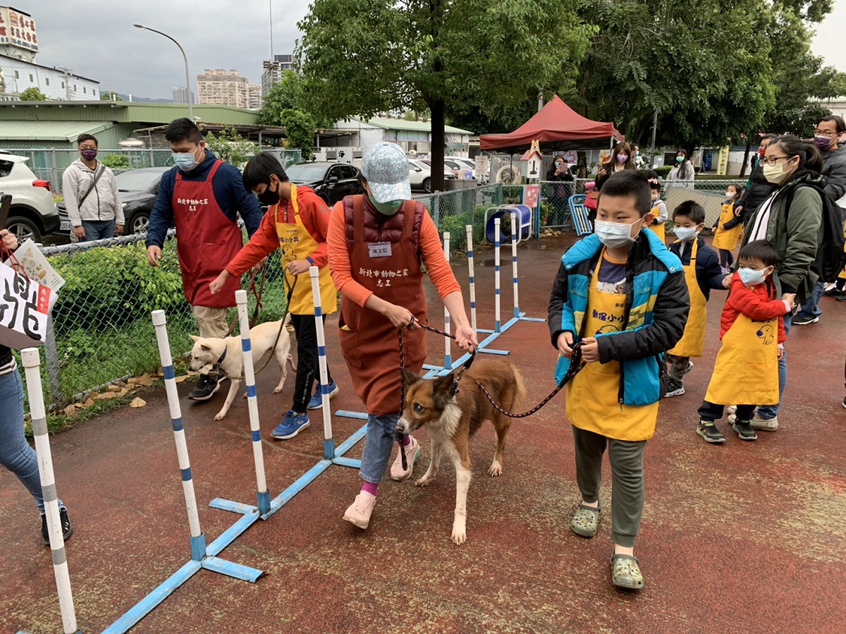 板橋動物之家志工團隊引導小朋友一同帶毛寶貝出籠散步。 圖：新北市動保處提供