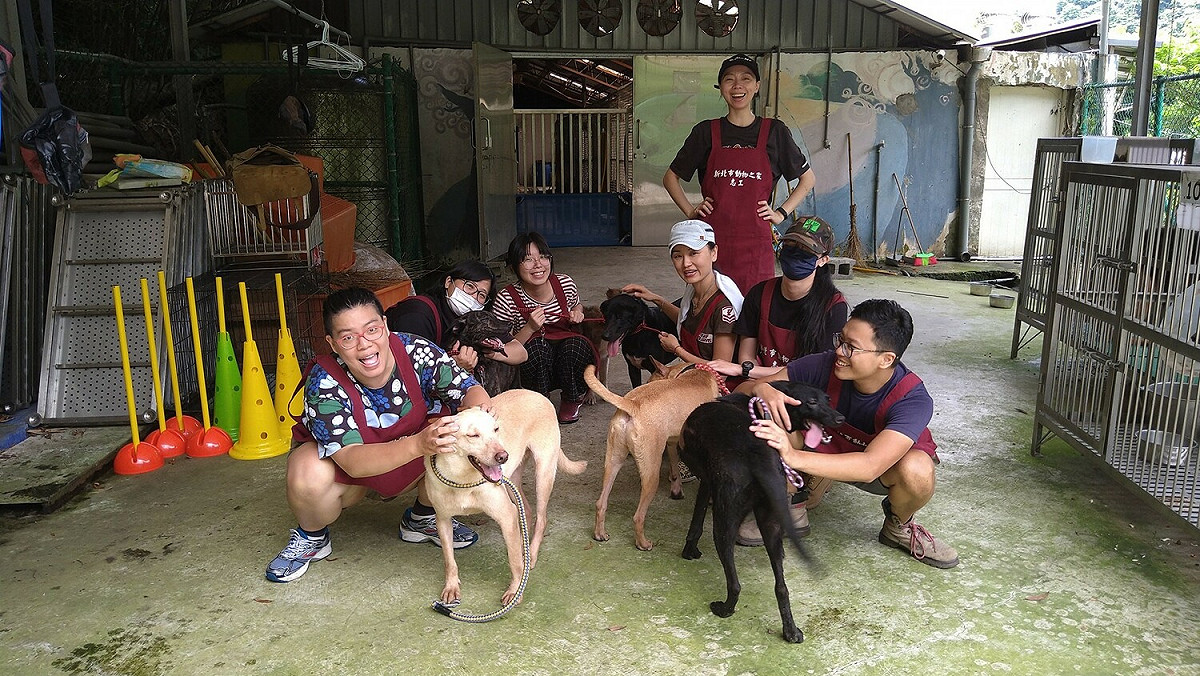 新北市動物之家每週安排3天帶犬隻外出散步曬太陽。 圖：新北市動保處提供