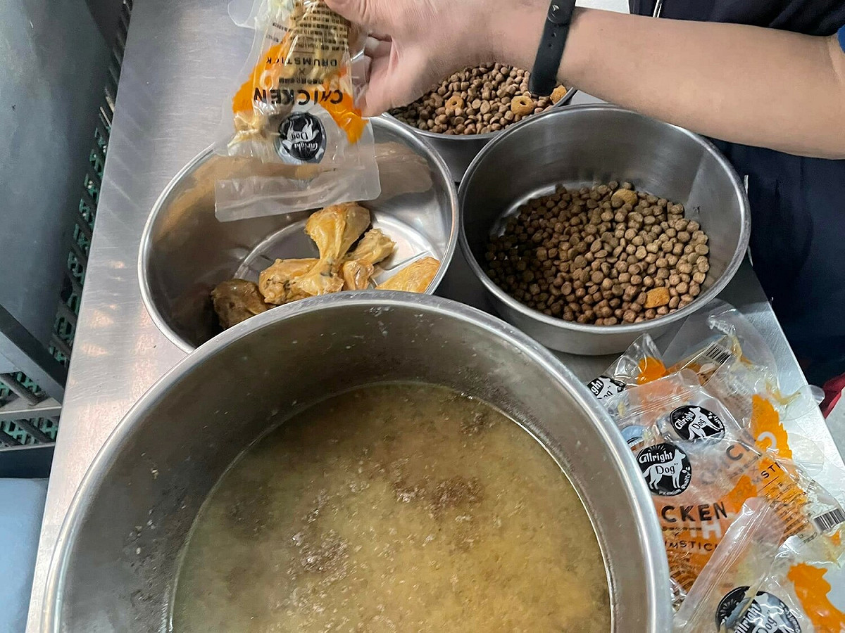 每週3天餵食鮮食是新北市動物之家毛寶貝的最愛。 圖：新北市動保處提供