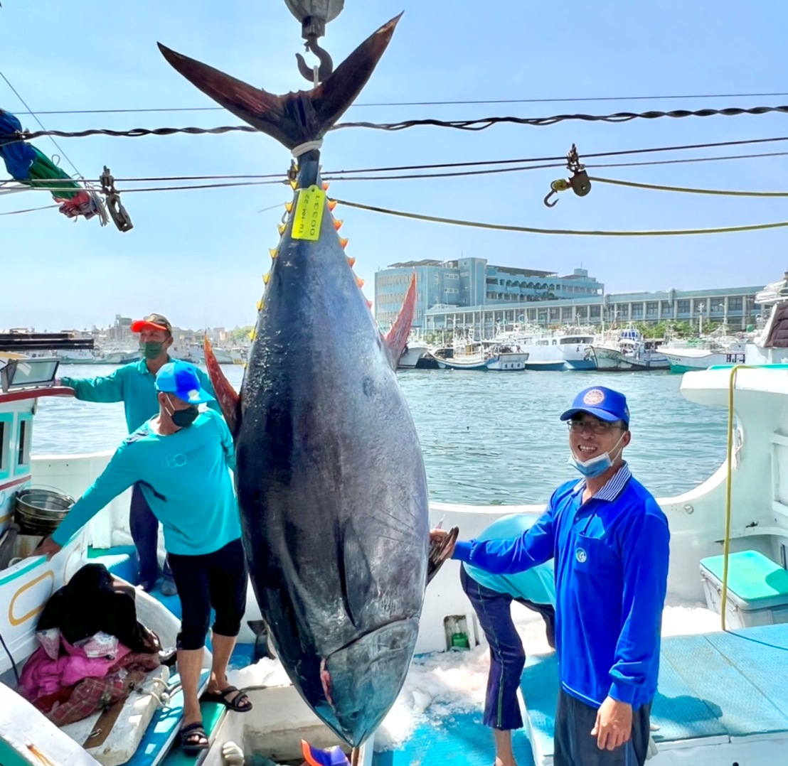 「榮漁滿號」以小搏大捕獲今年「第一鮪」。 圖：屏東縣政府提供