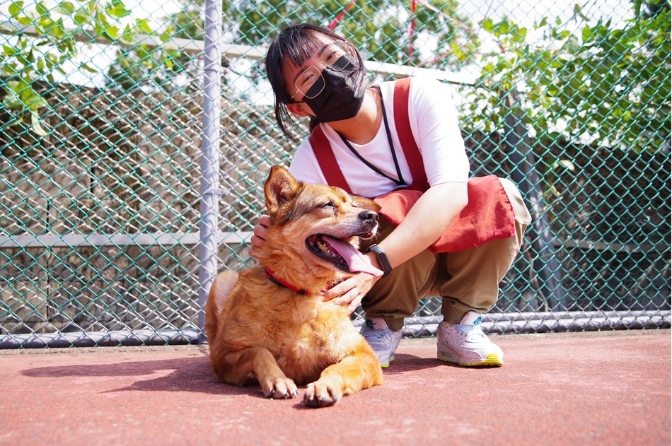 新北市動物之宣的毛寶貝身心健康、毛色漂亮。 圖：新北市動保處提供