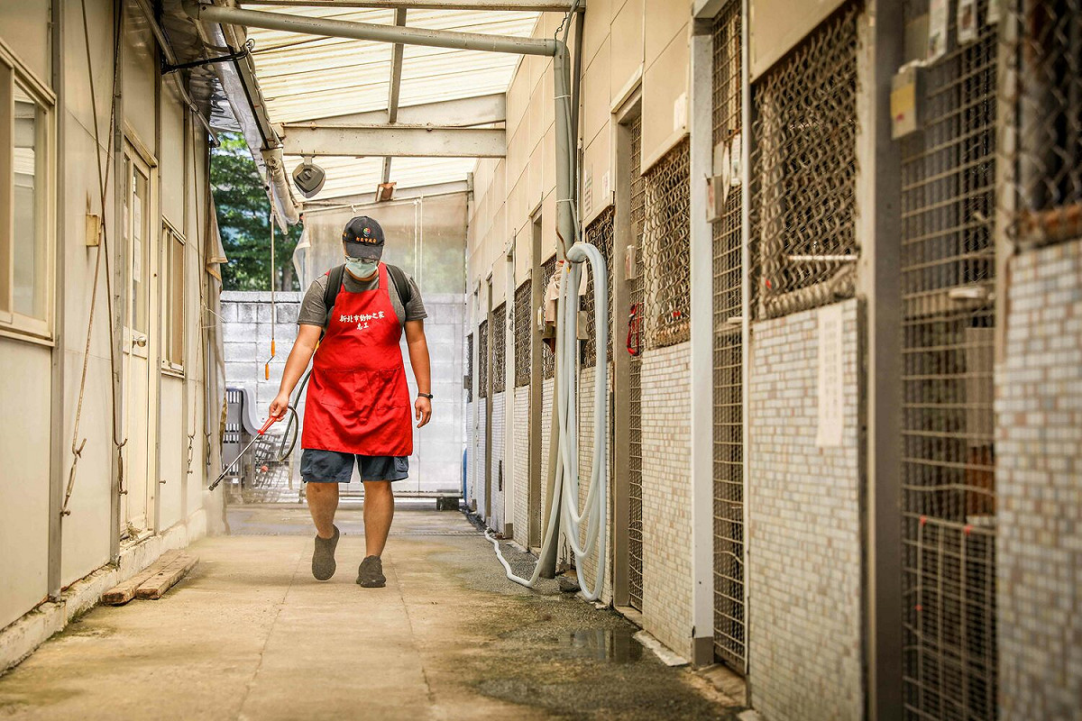 新北市動物之家進行環境清潔消毒。 圖：新北市動保處提供
